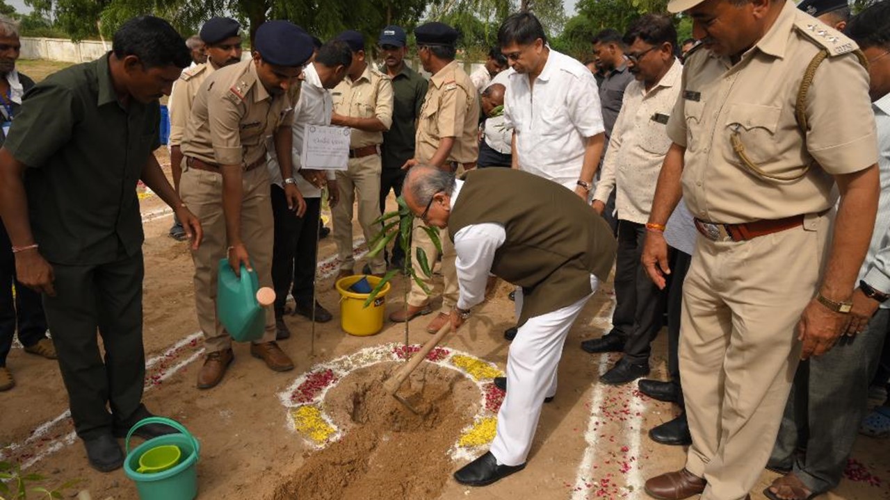 Fighting climate change through Tree Plantation